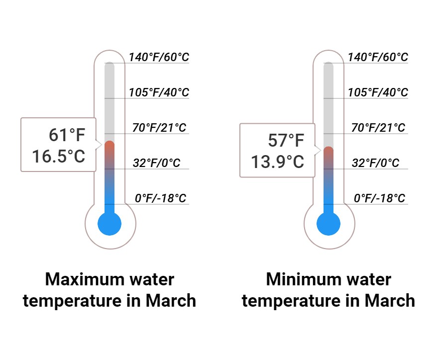 Average Sea temperature